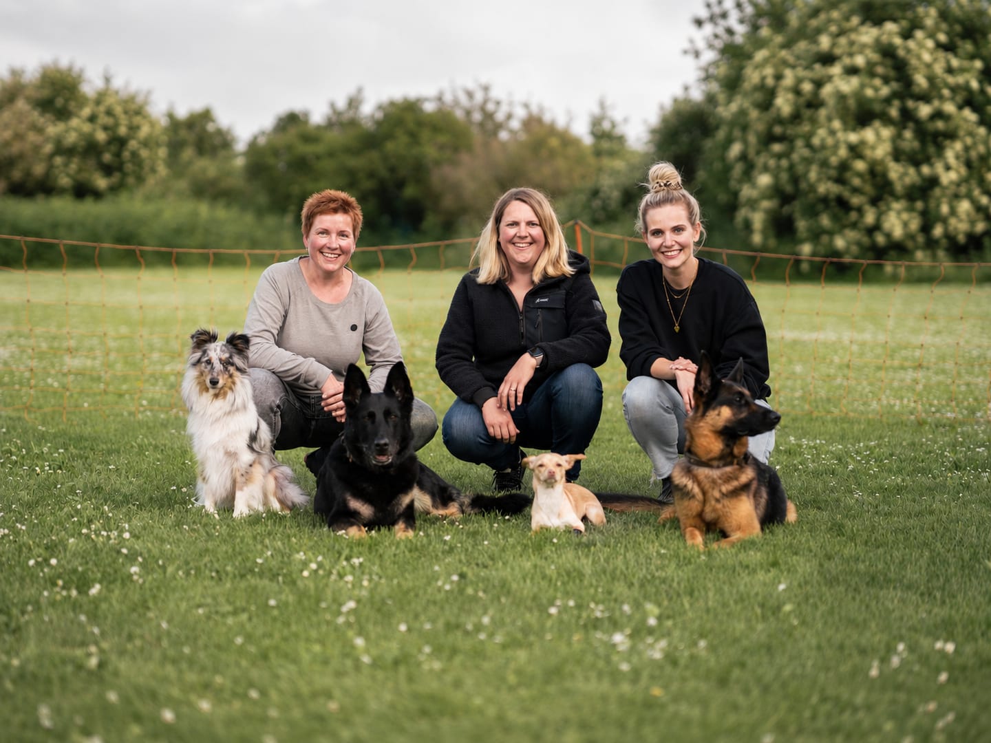 Das Team der Hundeschule LiKo mit ihren Hunden vor Heidelberg